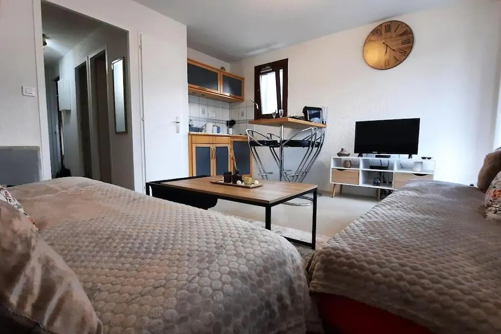 Super Appartement Cocooning Vu Mont Blanc Sallanches France