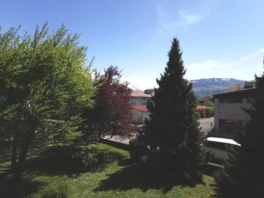 Super Appartement Cocooning Vu Mont Blanc Sallanches France